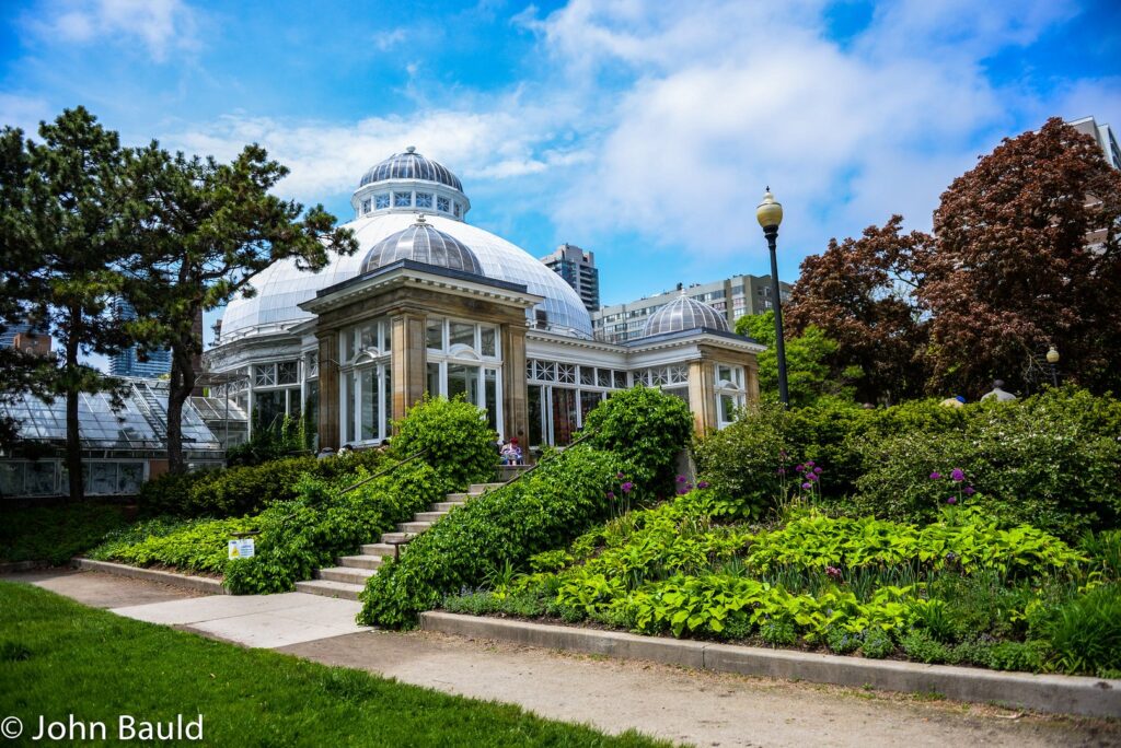 Allan Gardens moonlights as a trendy concert venue!